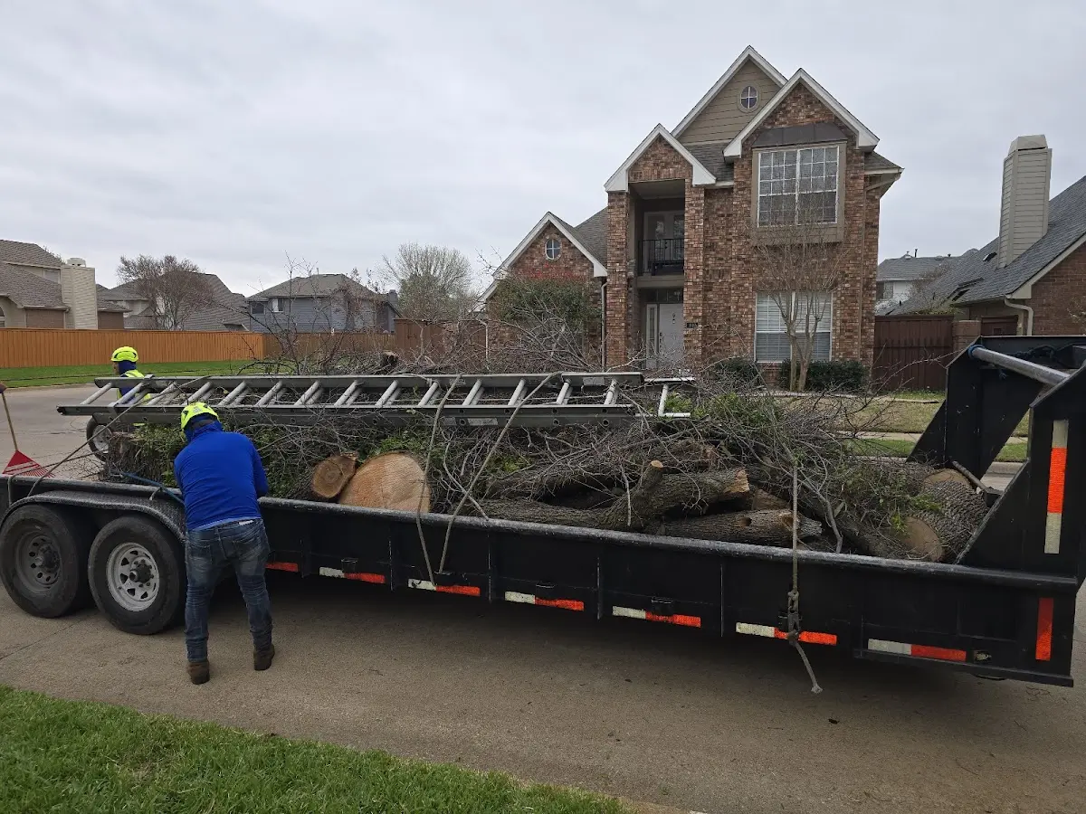 Expert Lot Clearing with proper safety equipment in Modoc